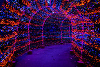Garden Glow