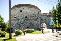 IMGP9571