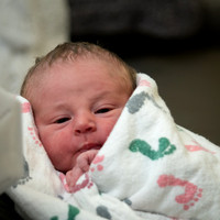 Nolan Michael Press