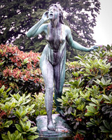 IMGP0870