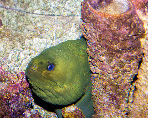 IMGP8759