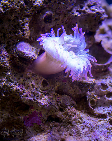 IMGP8819