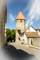 IMGP9553
