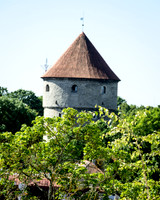 IMGP9470
