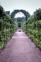 IMGP0879
