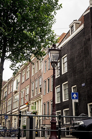 IMGP9130