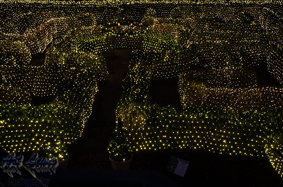IMGP2916