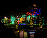 Zoo Glow