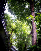 IMGP3809