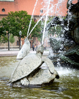 IMGP0621