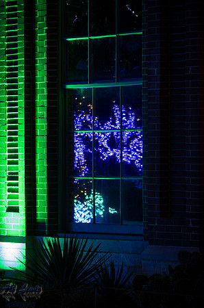 IMGP2951